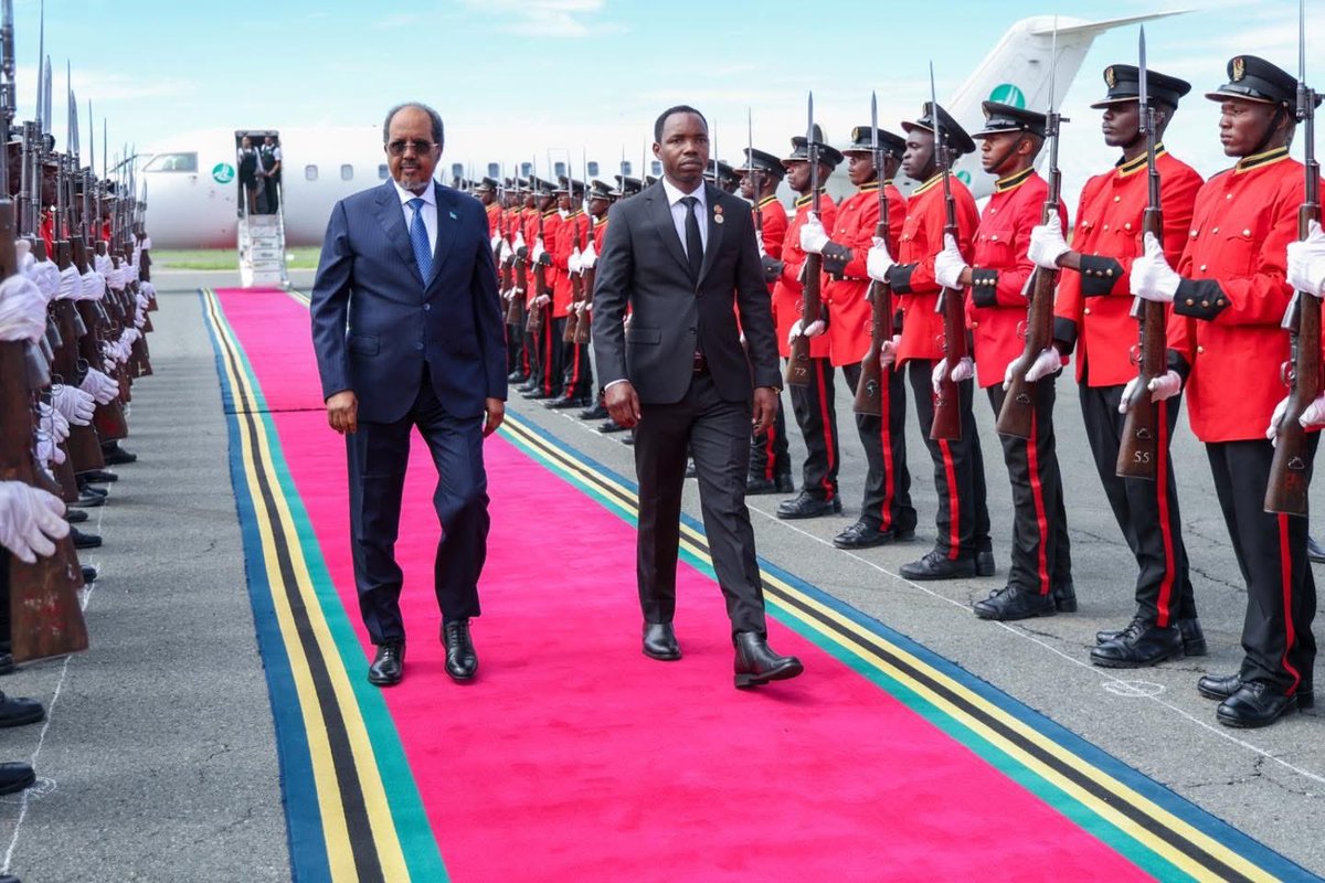 Villa Somalia tweet media