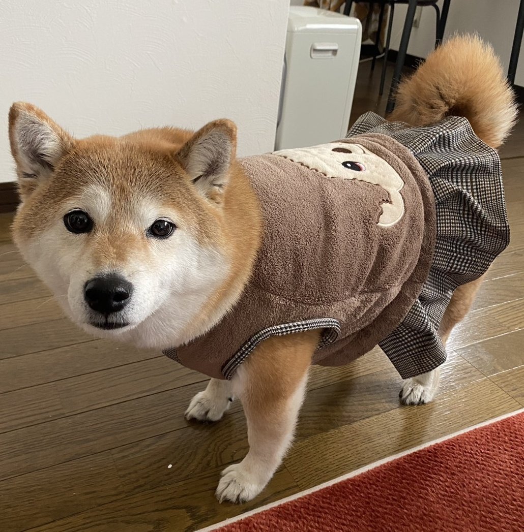 しまむらで買ったモンチッチのヘアキャップを九の服にリメイク🤭 どう