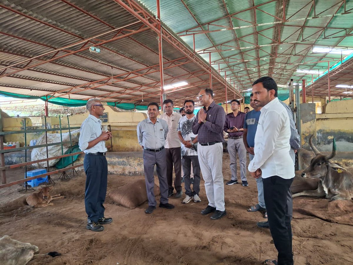 Collector Vav-Tharad tweet media