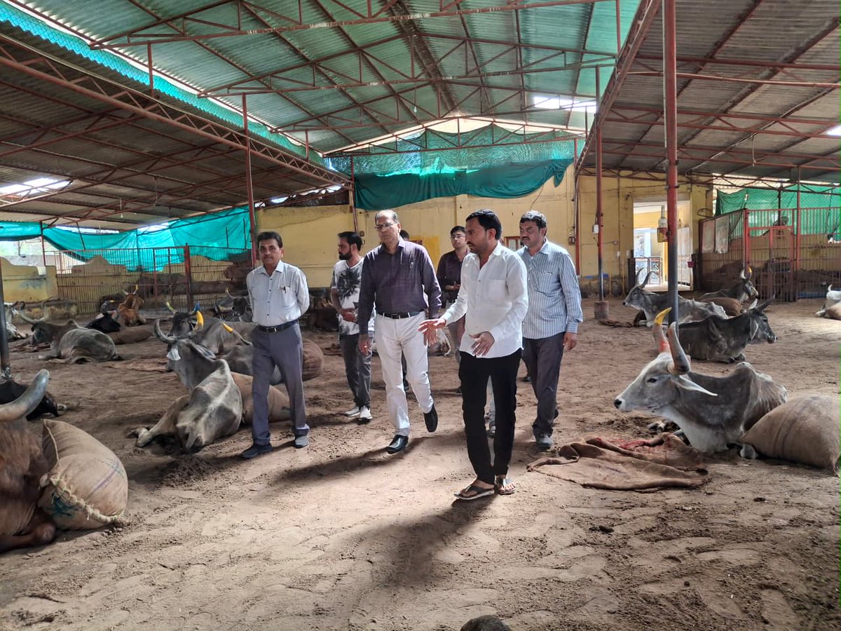 Collector Vav-Tharad tweet media