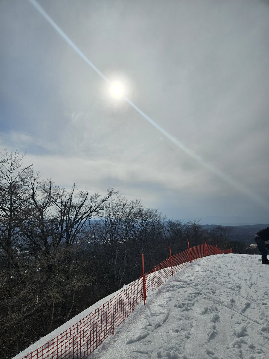 minami☆ tweet media