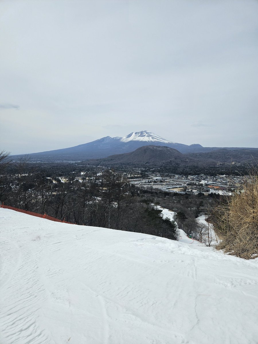 minami☆ tweet media