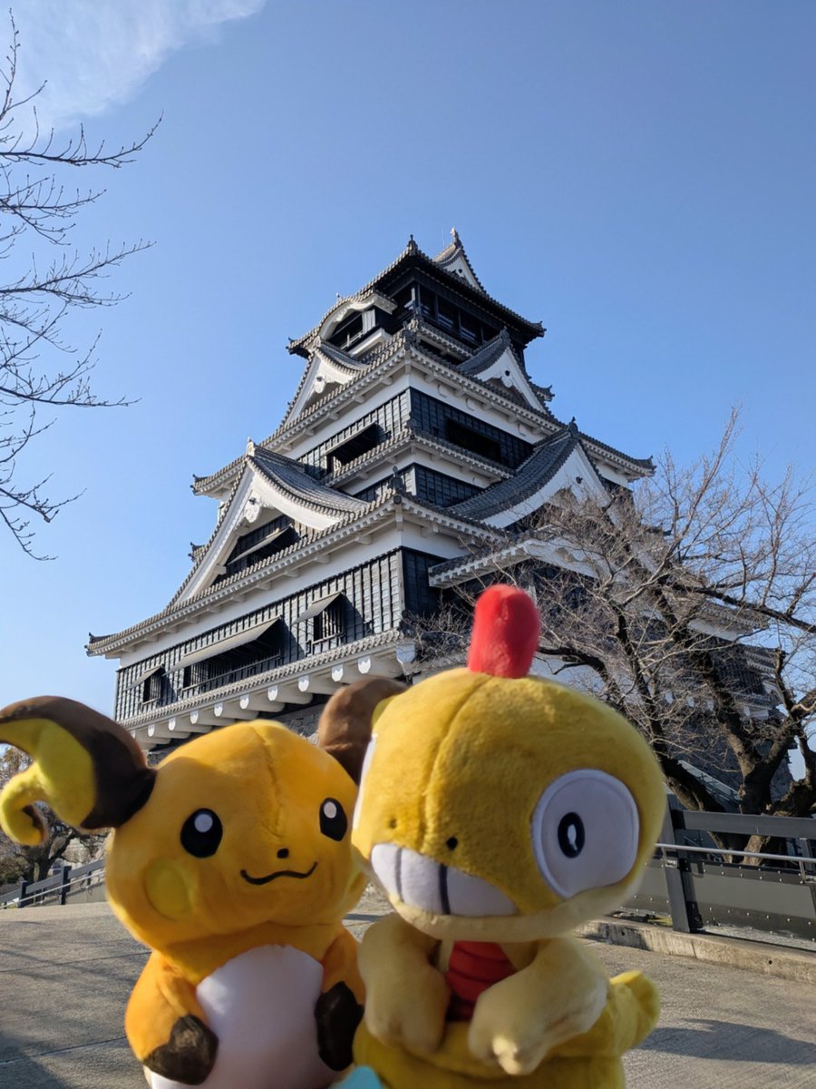 KITE@Twitch tweet media