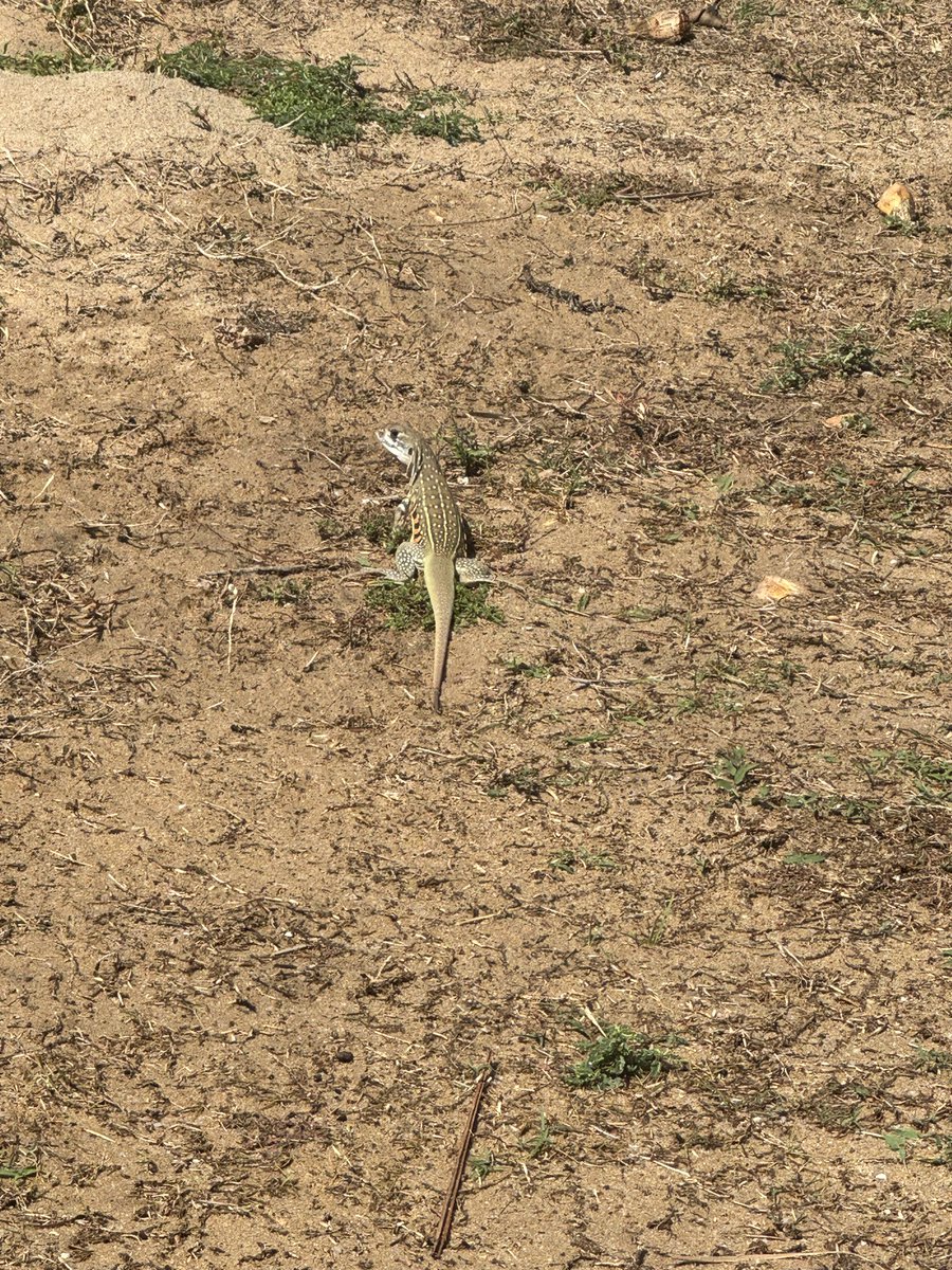 MAHIRO | 美容師Assistant tweet media