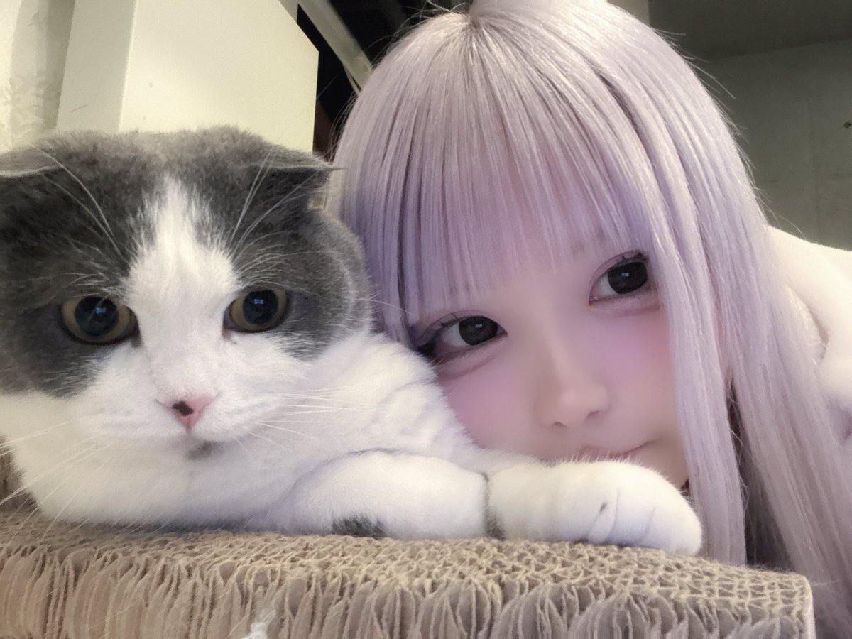 月雲巫女 tweet media