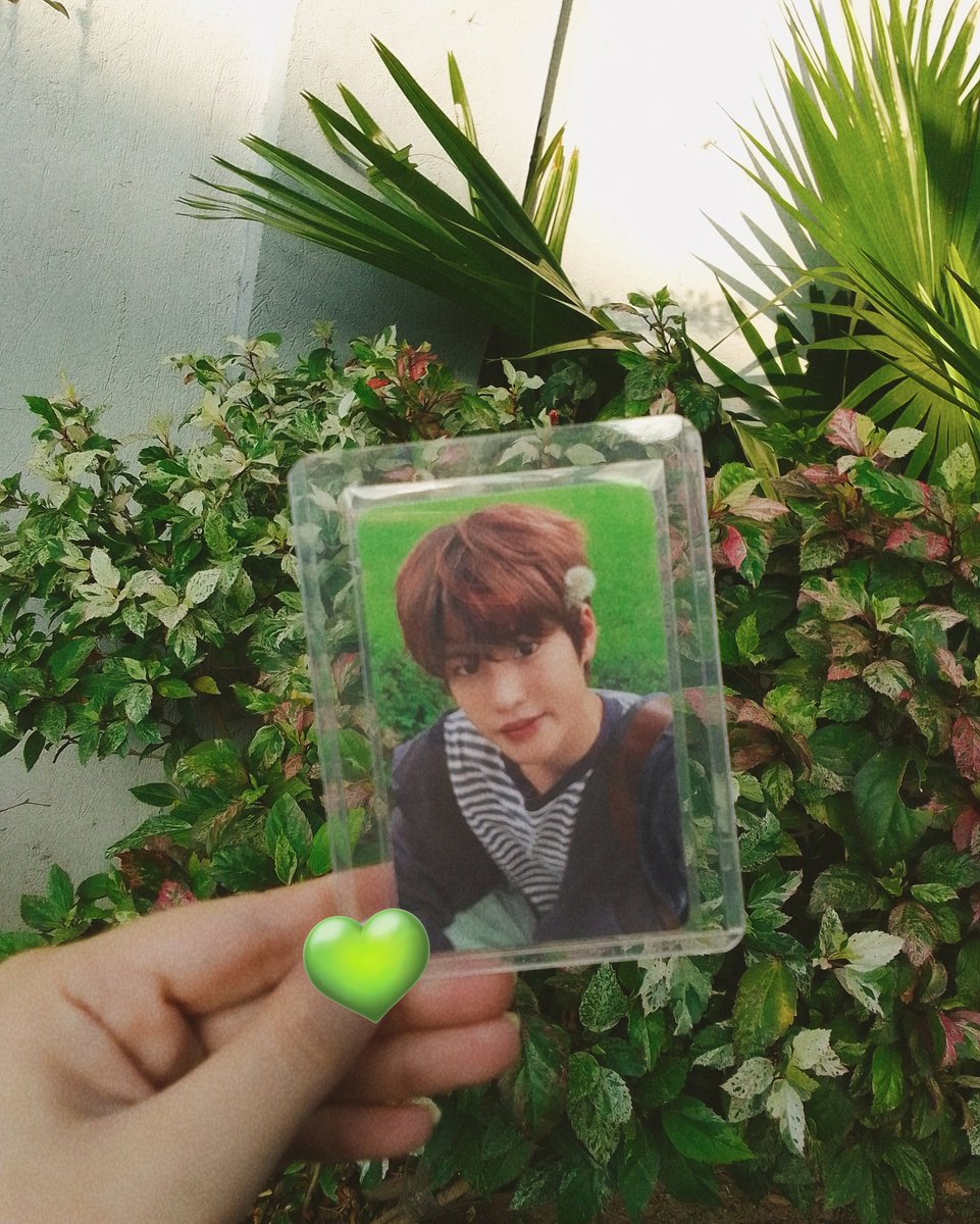 chelz ੯·̀͡⬮💂🦕🏎️ tweet media