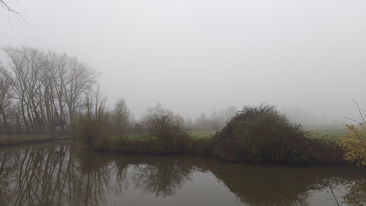 WorkingHardInIT tweet media