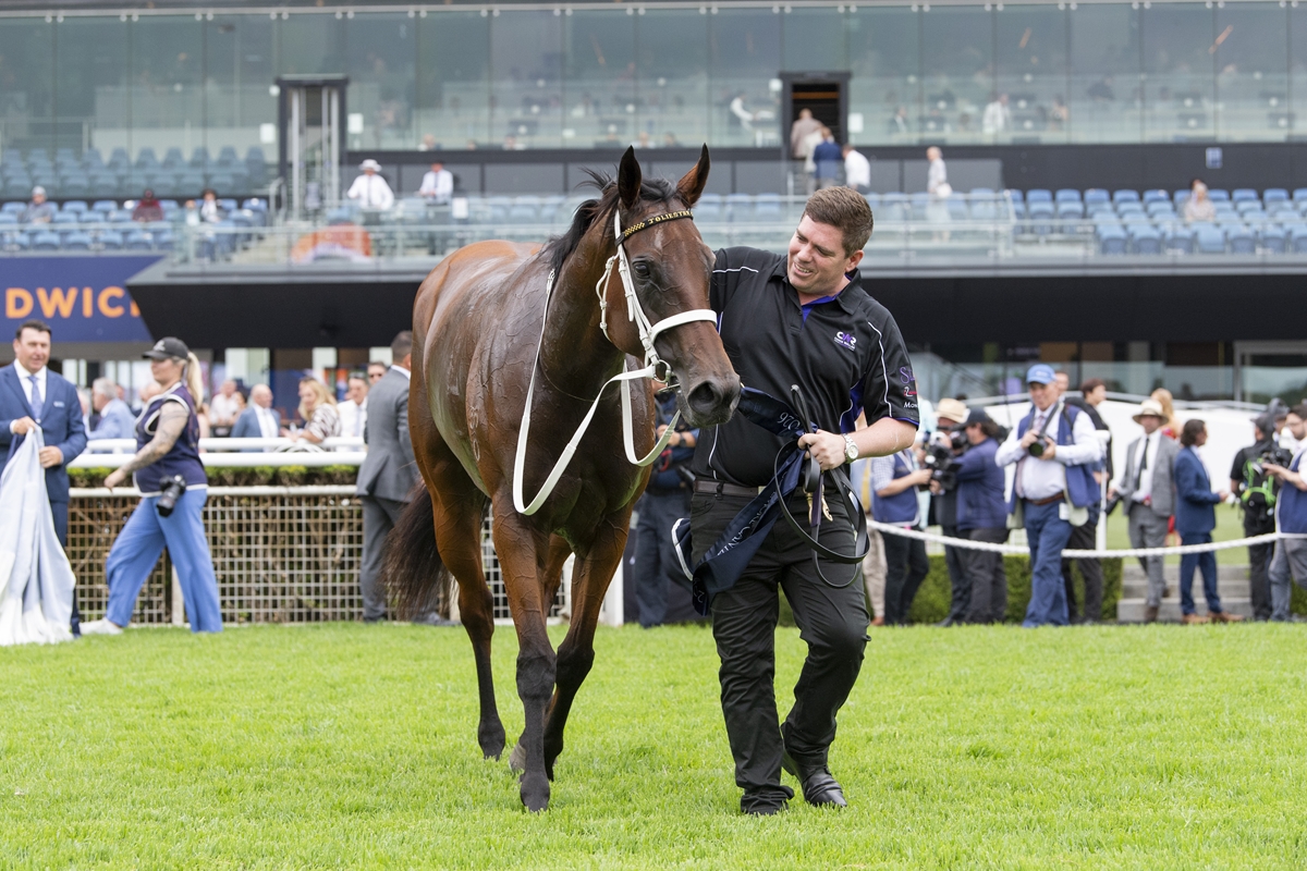 Tara Madgwick tweet media