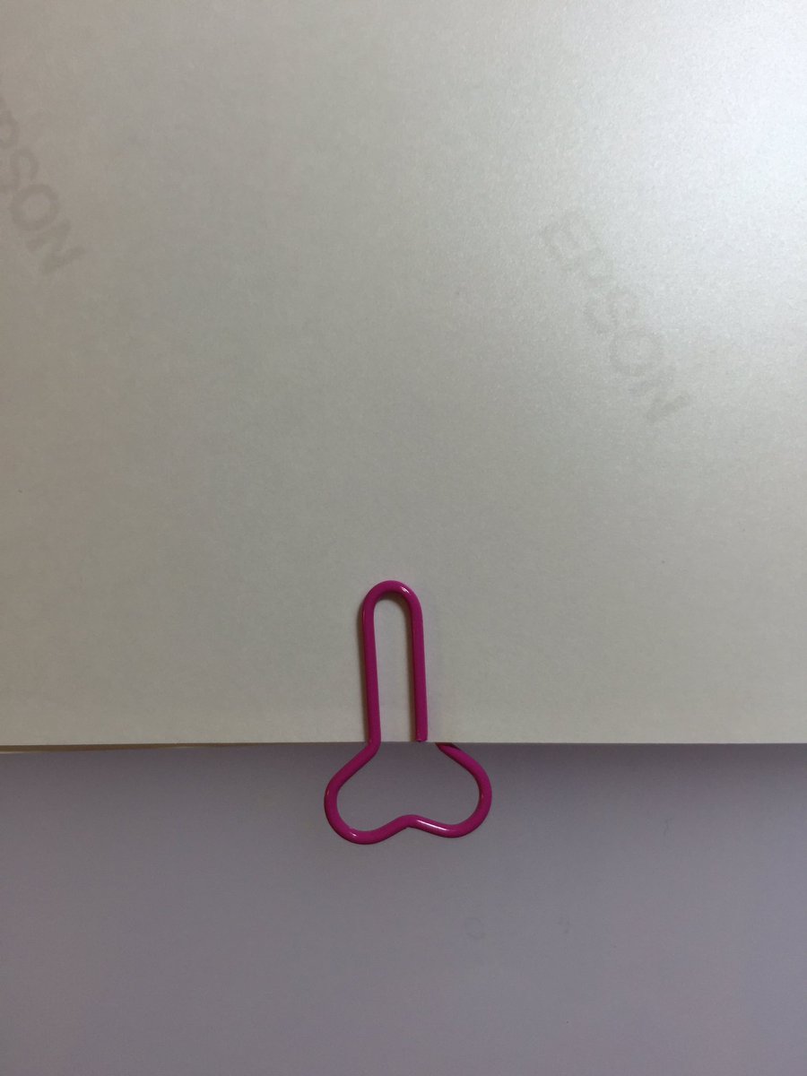 かわいい骨のクリップを貰って喜んで使った今、アレの形にしか見えなくて泣いてる