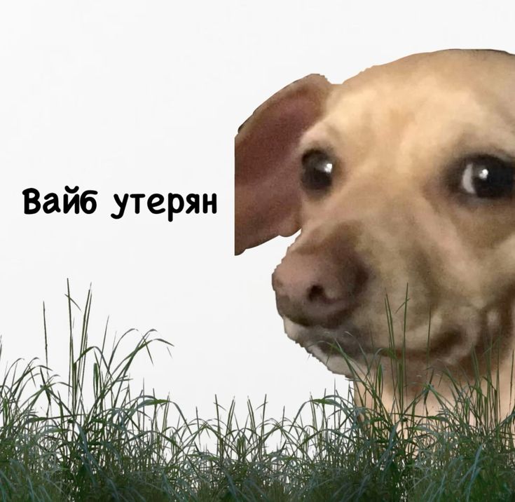 миccиc мaлдep tweet media