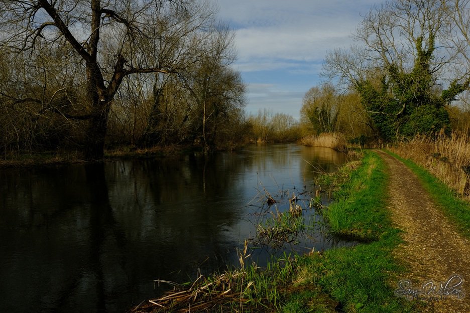 SamWlandscapes's tweet image. Canal and very wet walk through the Thatcham reed beds on Monday #landscapes #nature