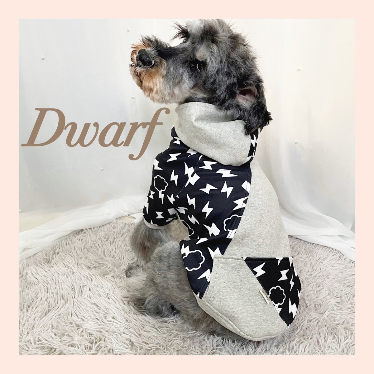 DwarfPet's tweet photo. 少しでも気になる！！っという方は是非プロフィール欄のURLから覗いて見てください😊
⁡
全ての作業を1人で行っておりますので
発送までに10日前後頂いております。
ご了承くださいm(_ _)m

https://t.co/U7PVjc5hv6 https://t.co/Yr3MgHgAVv https://t.co/gg3Q04X3N6