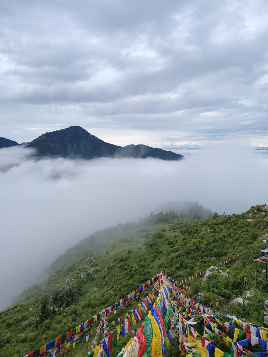 Shailesh Kumar tweet media