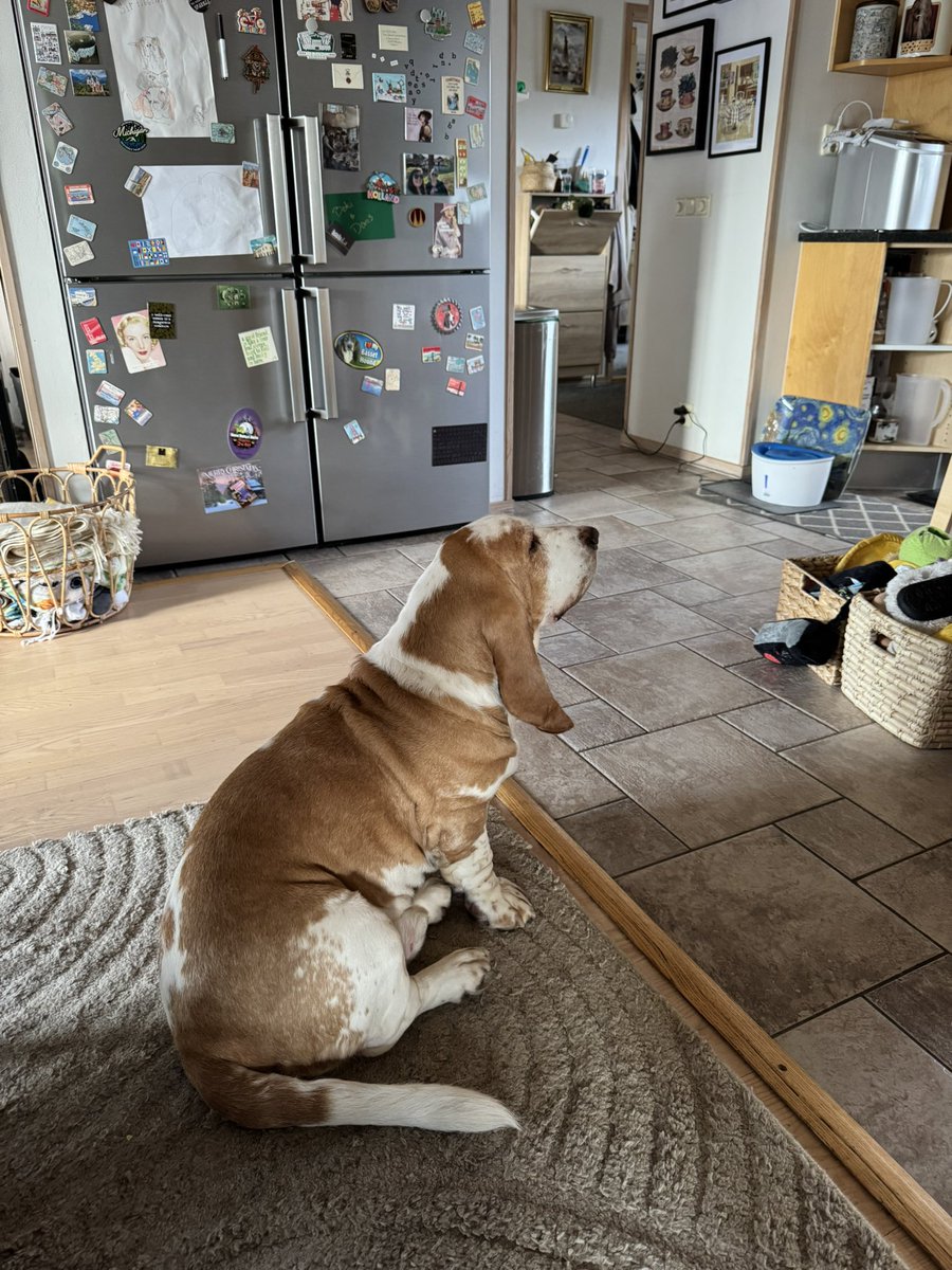 The Waddlesworth Brothers tweet media