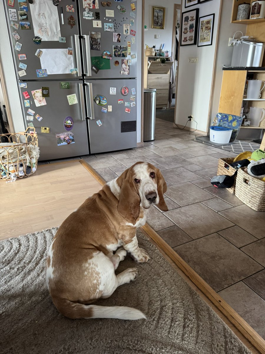 The Waddlesworth Brothers tweet media