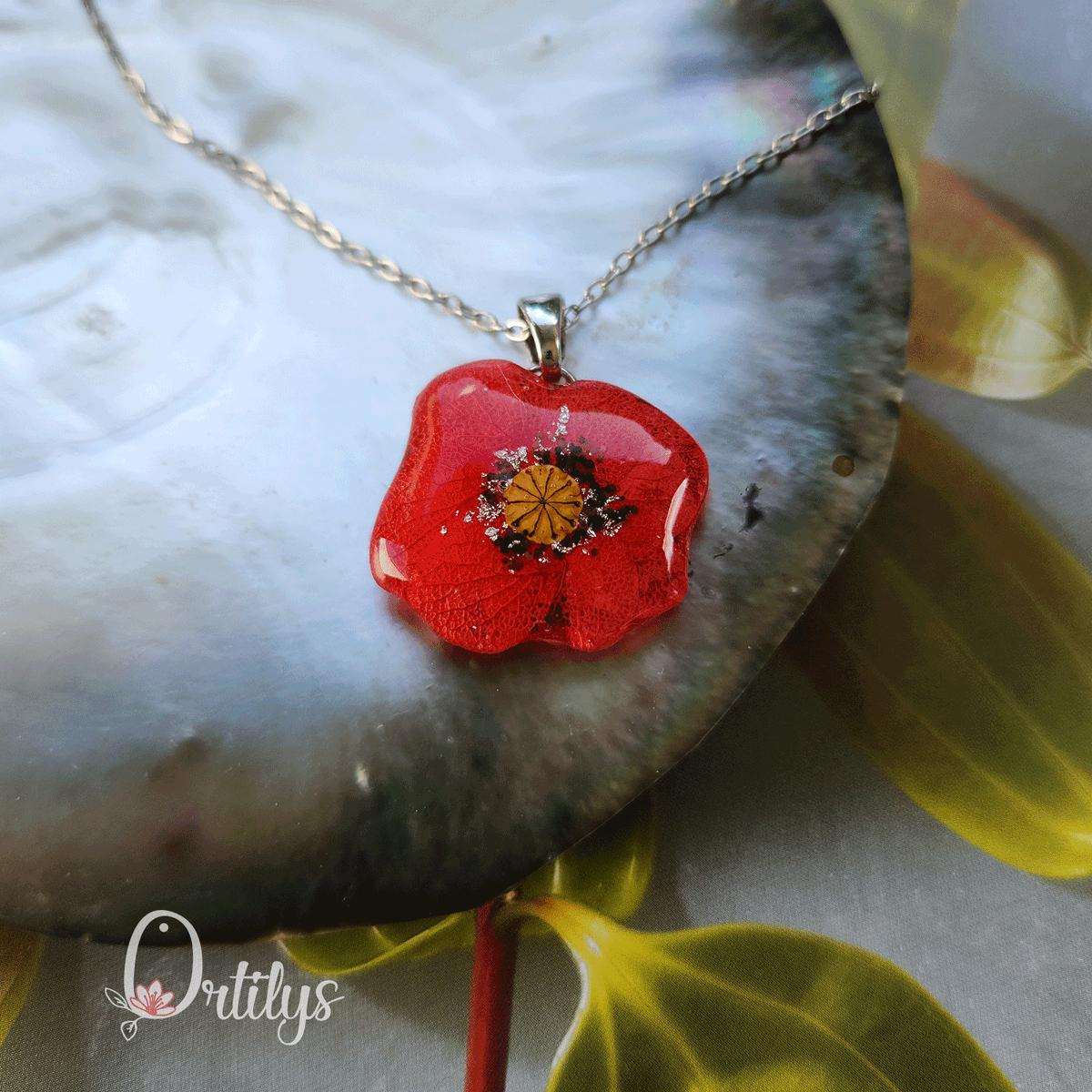 𝓞𝓻𝓽𝓲𝓵𝔂𝓼 🌺 tweet media