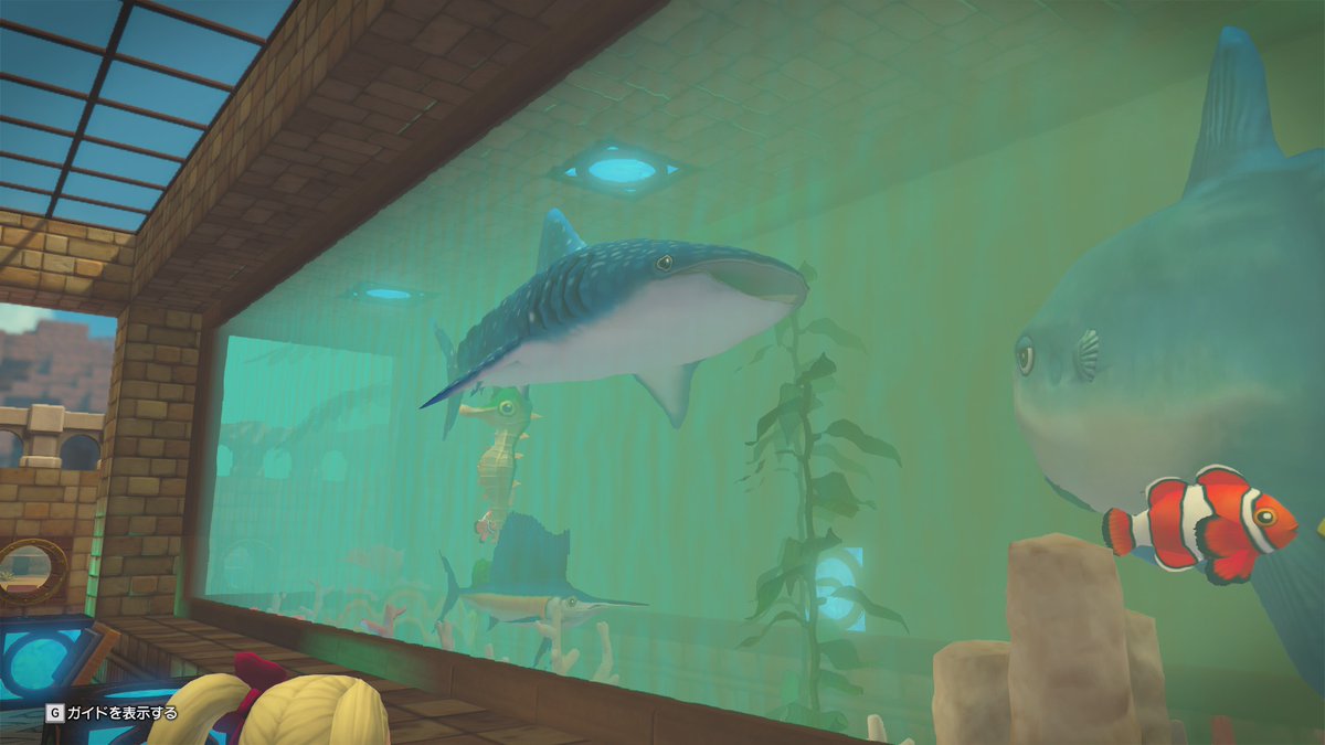 さんねこ🐣 tweet media