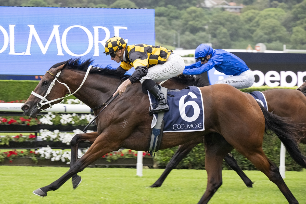 Tara Madgwick tweet media