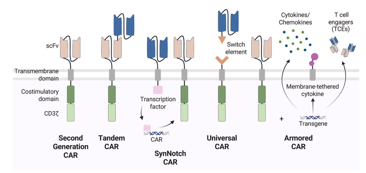 Mario Balsa tweet media