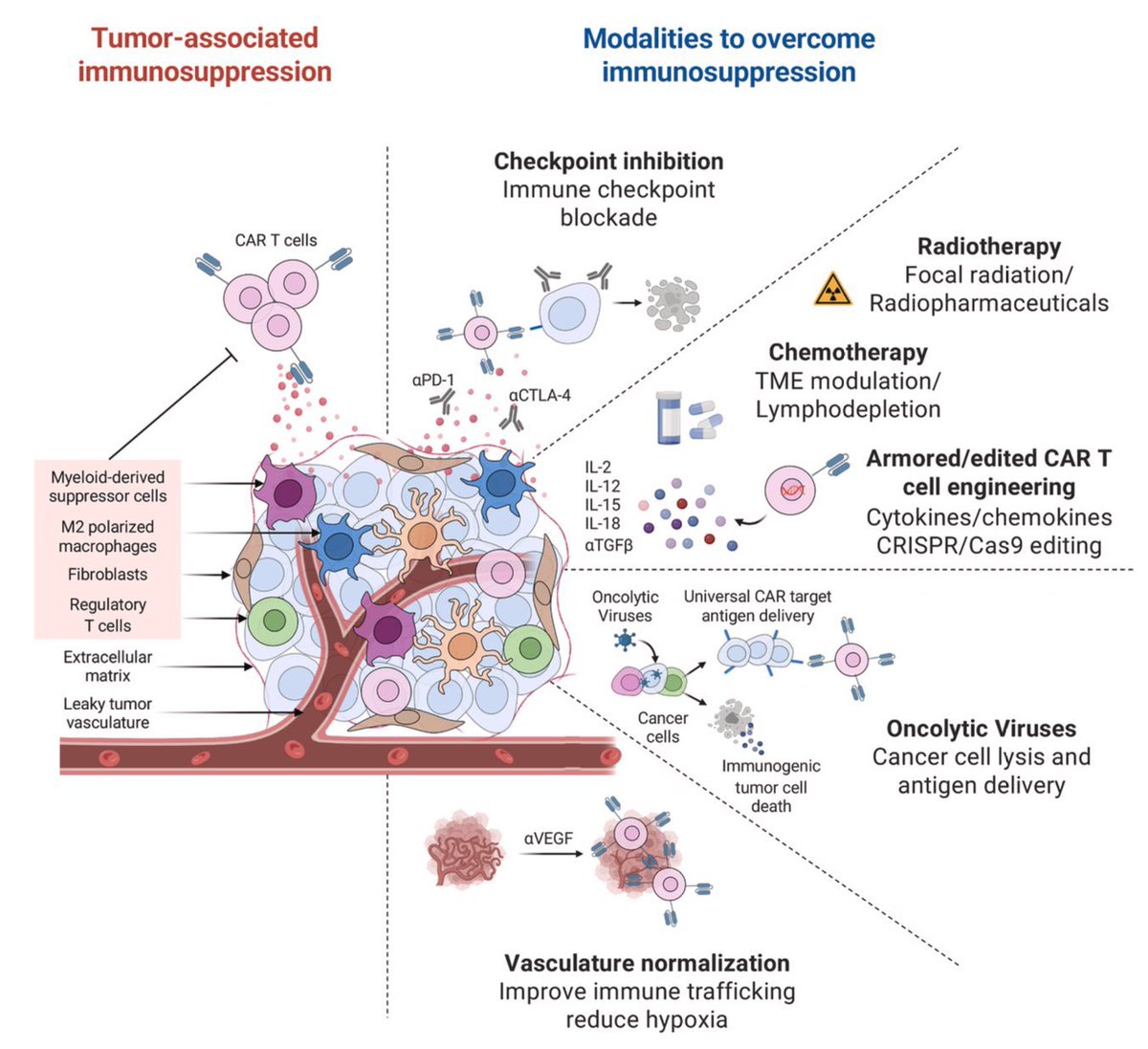 Mario Balsa tweet media