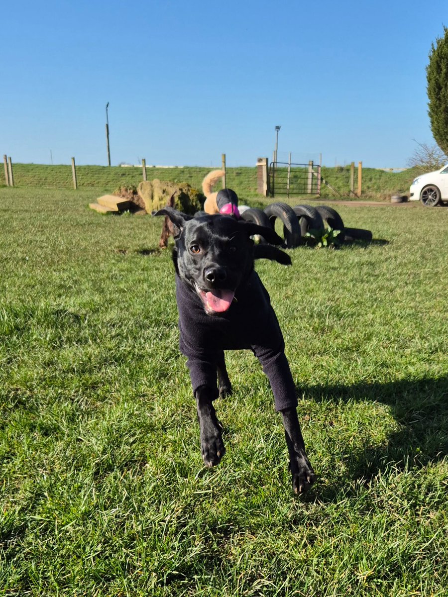 🌟ALLIE YARM 🌟 tweet media