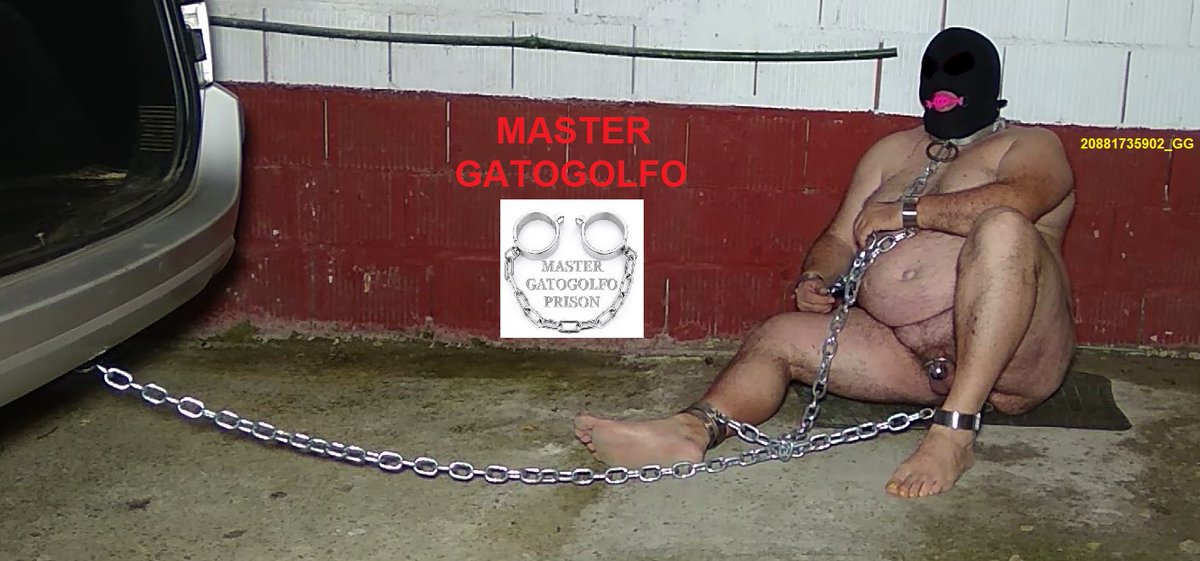 20881735902_GG tweet media