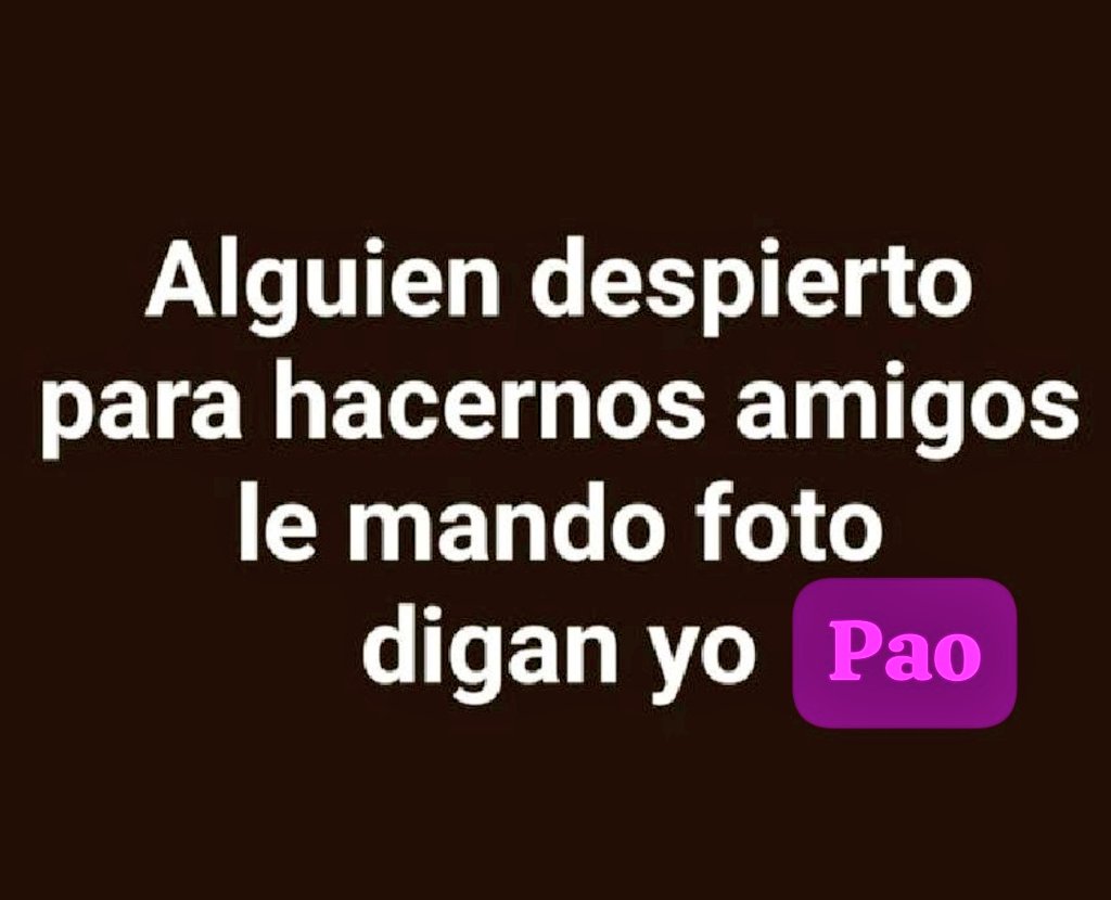 Paola tweet media