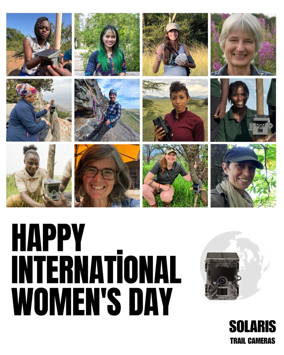 Solaris Trail Cameras tweet media