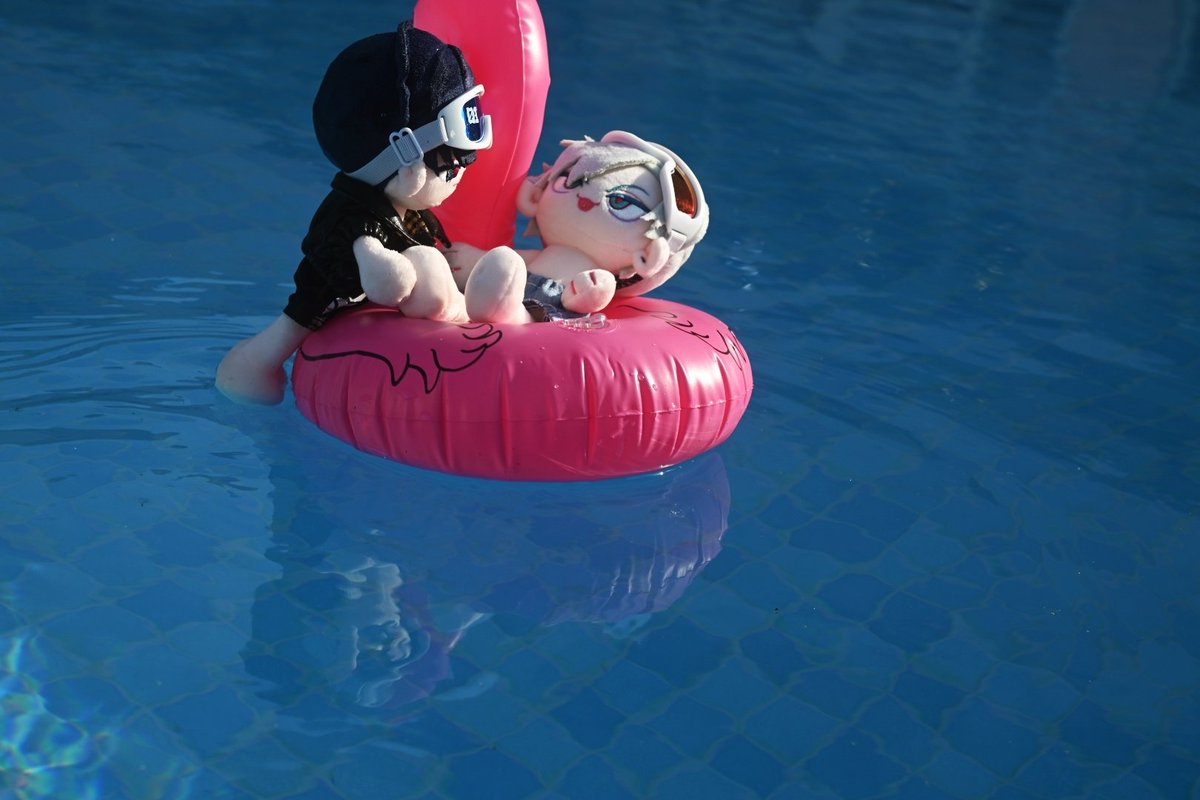 🦊📷🧸 tweet media