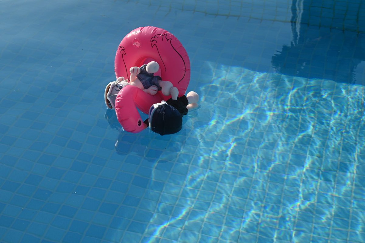 🦊📷🧸 tweet media