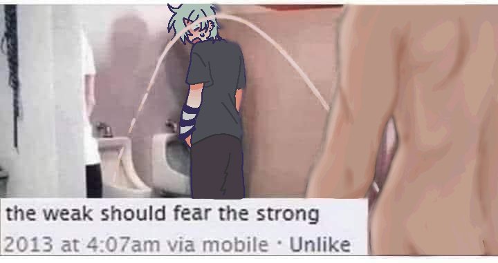 PeoPeo💫 busy tweet media