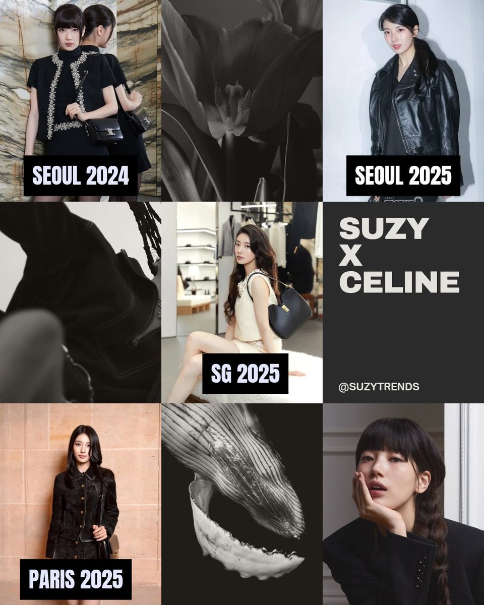 Suzy Trendsetter tweet media