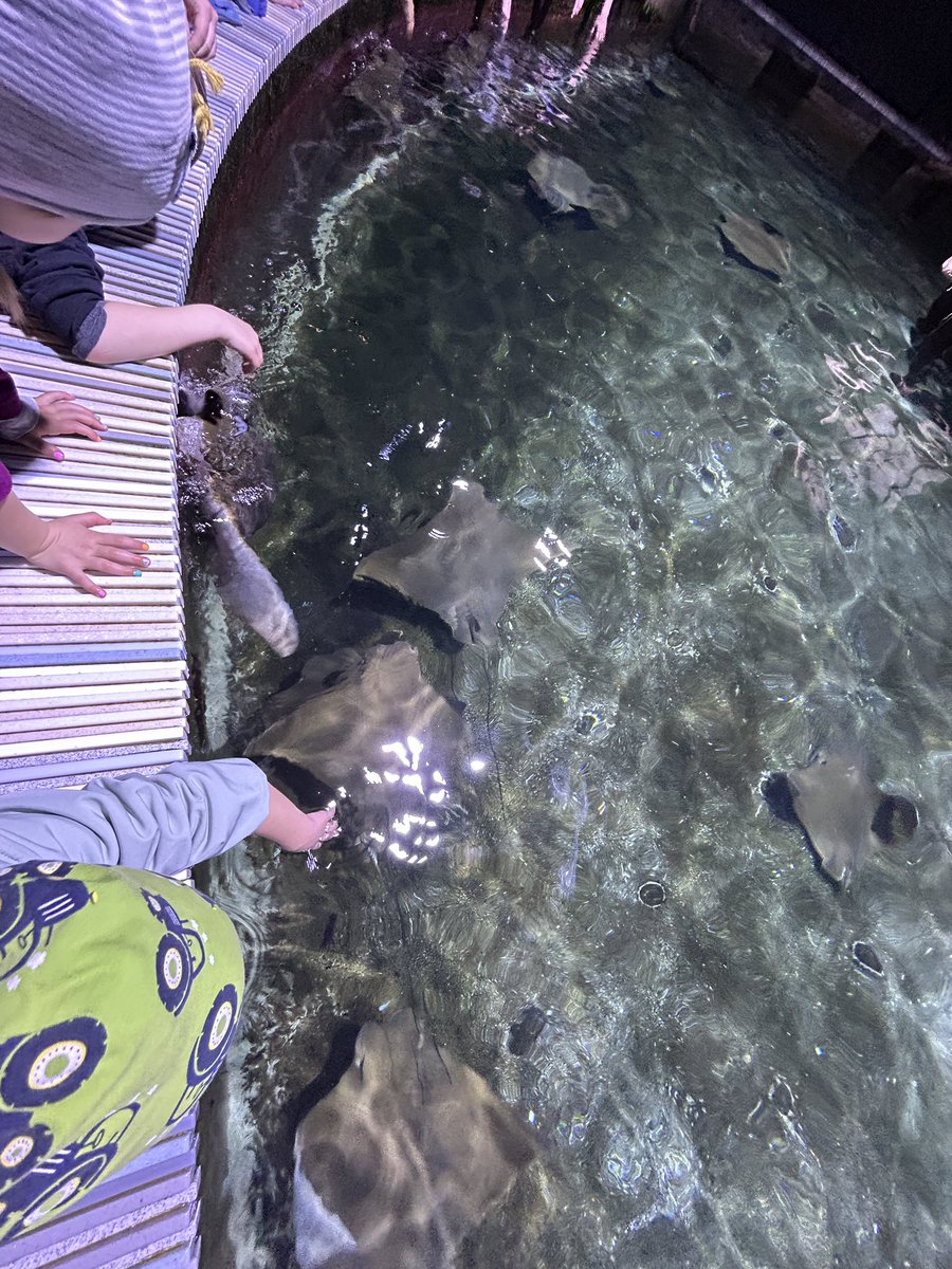 kubavacha's tweet photo. ZOO Zlín - jako v létě. Teplo a plno lidí. https://t.co/r95gLjhlga