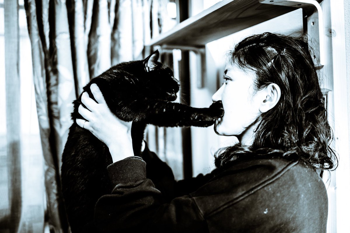 異儀田夏葉 tweet media