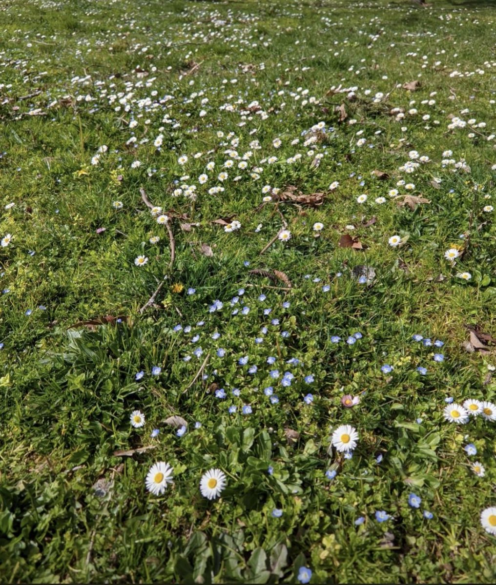 Kirti Tarang Pande tweet media