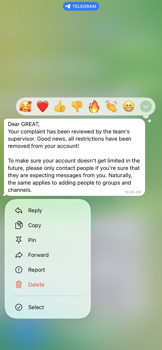 WEB4GREAT tweet media