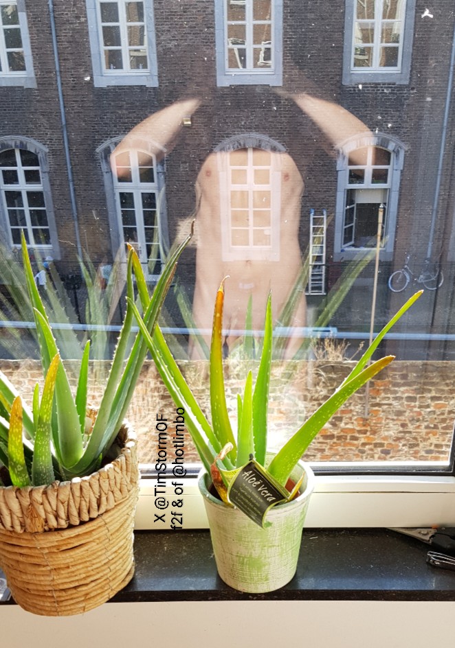 Tim Storm 🇳🇱 tweet media