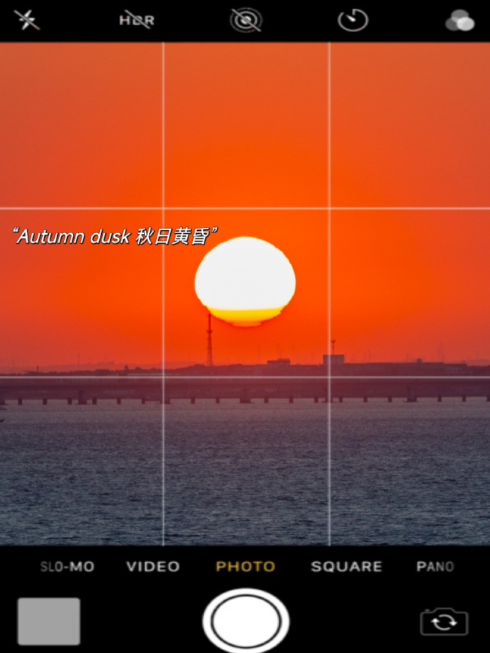 Metsar WU tweet media