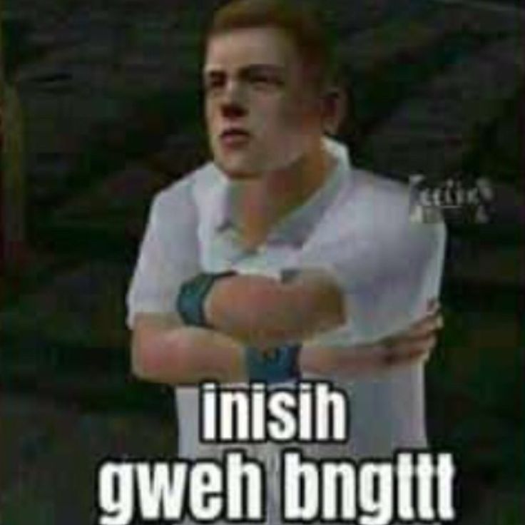 cat goes miaw tweet media