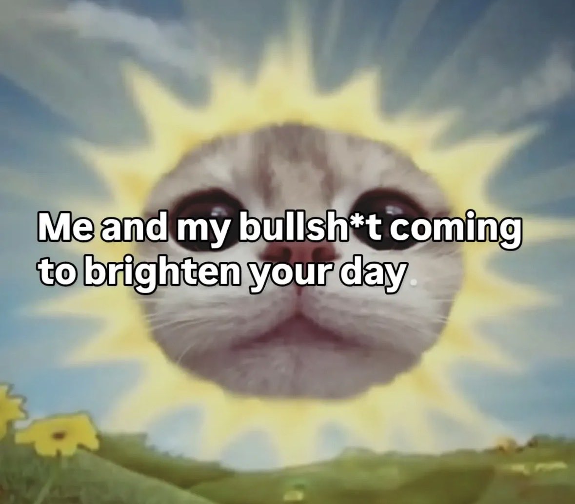 chang ᗢ tweet media