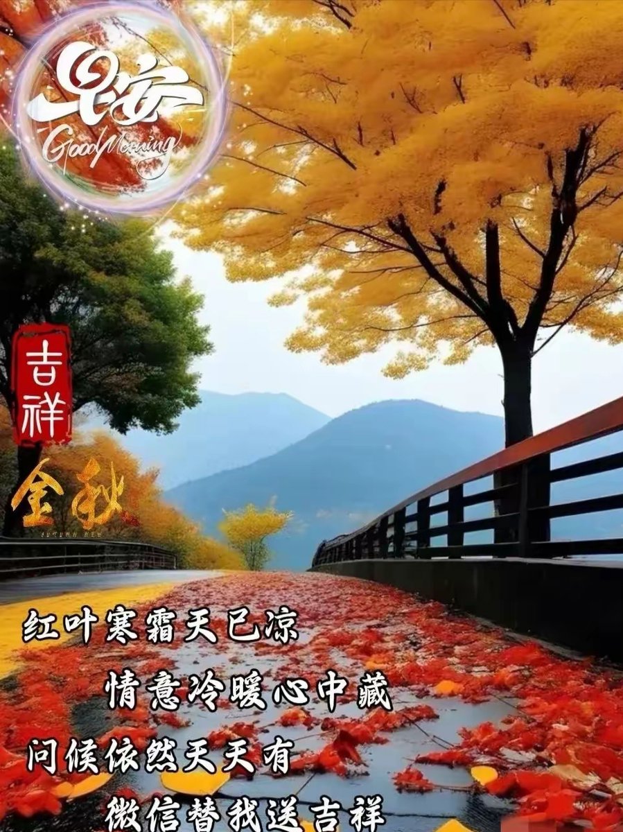 Chofo tweet media