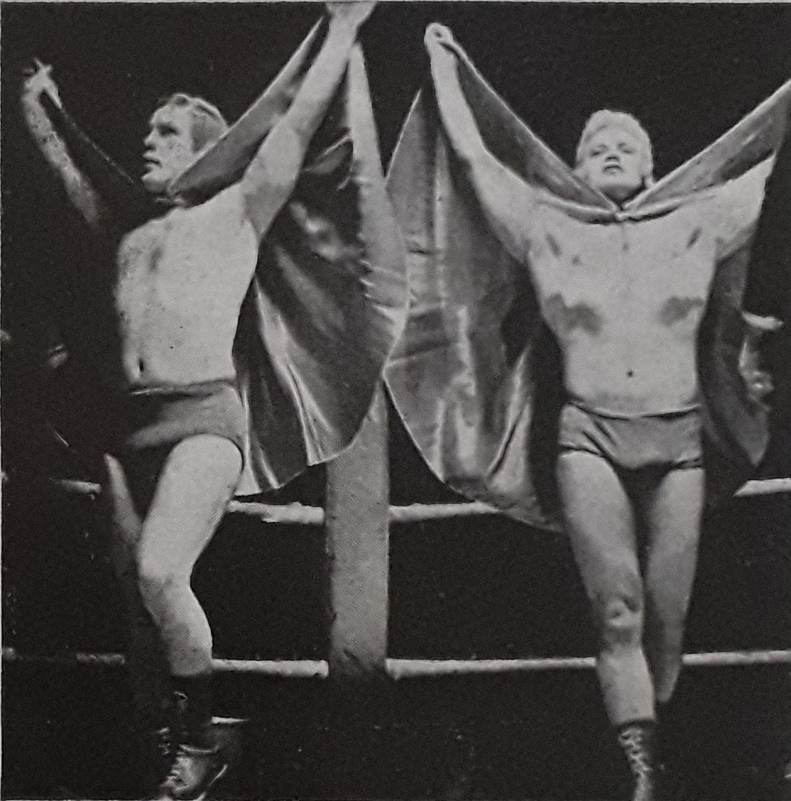 AJFwrestling tweet media