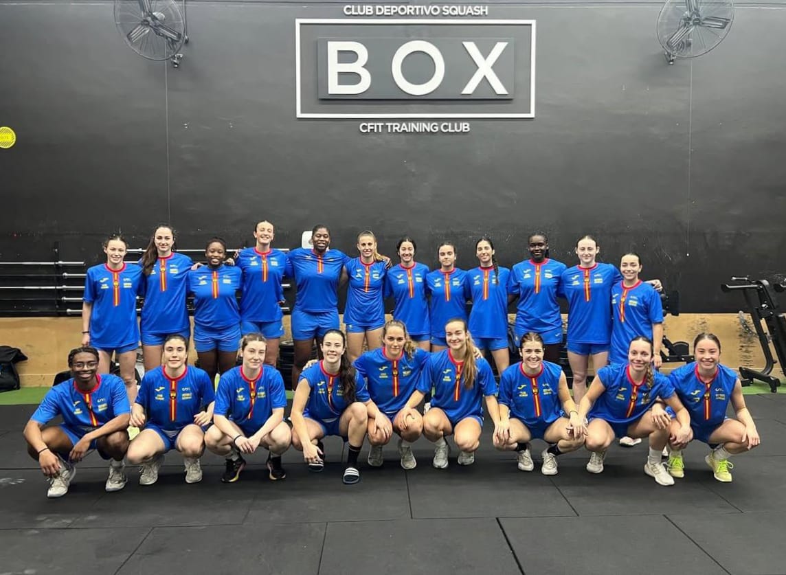 BALONMANO COLORES tweet media