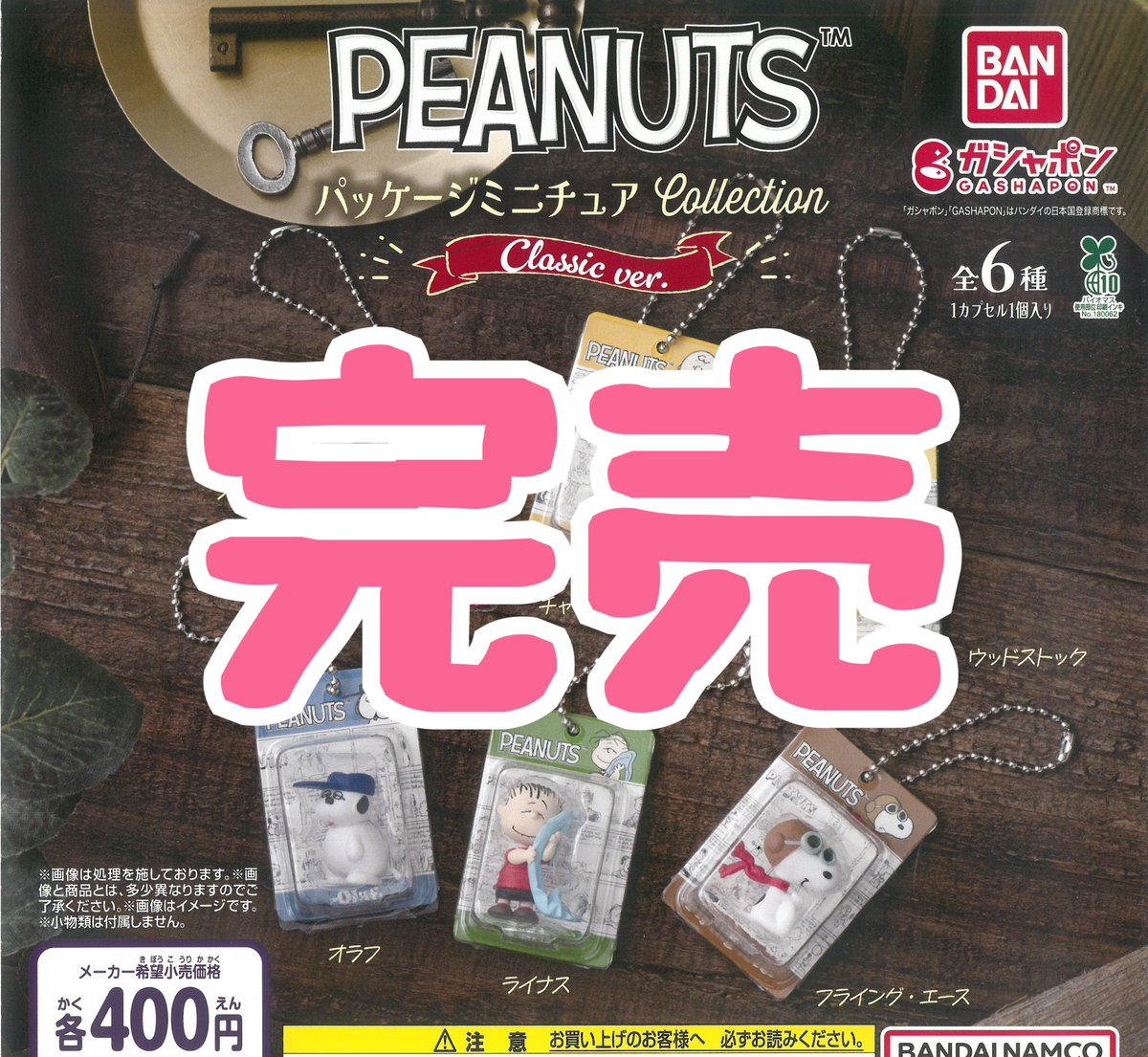 ❌完売のお知らせ❌】 ⭐️PEANUTS パッケージミニチュアコレクション
