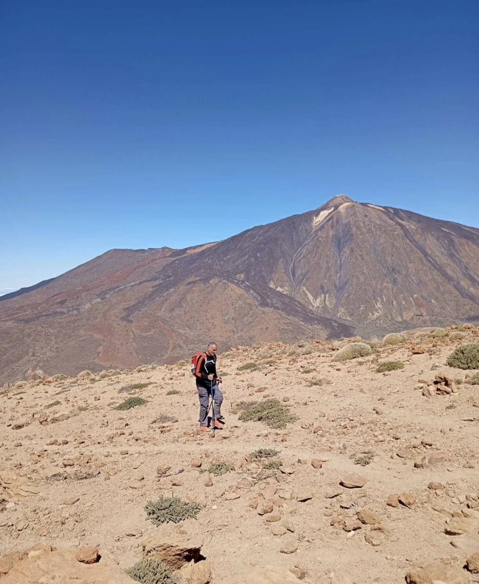 Manuel J. tweet media