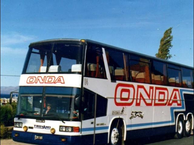 vasco BOLSO 🇮🇸 tweet media