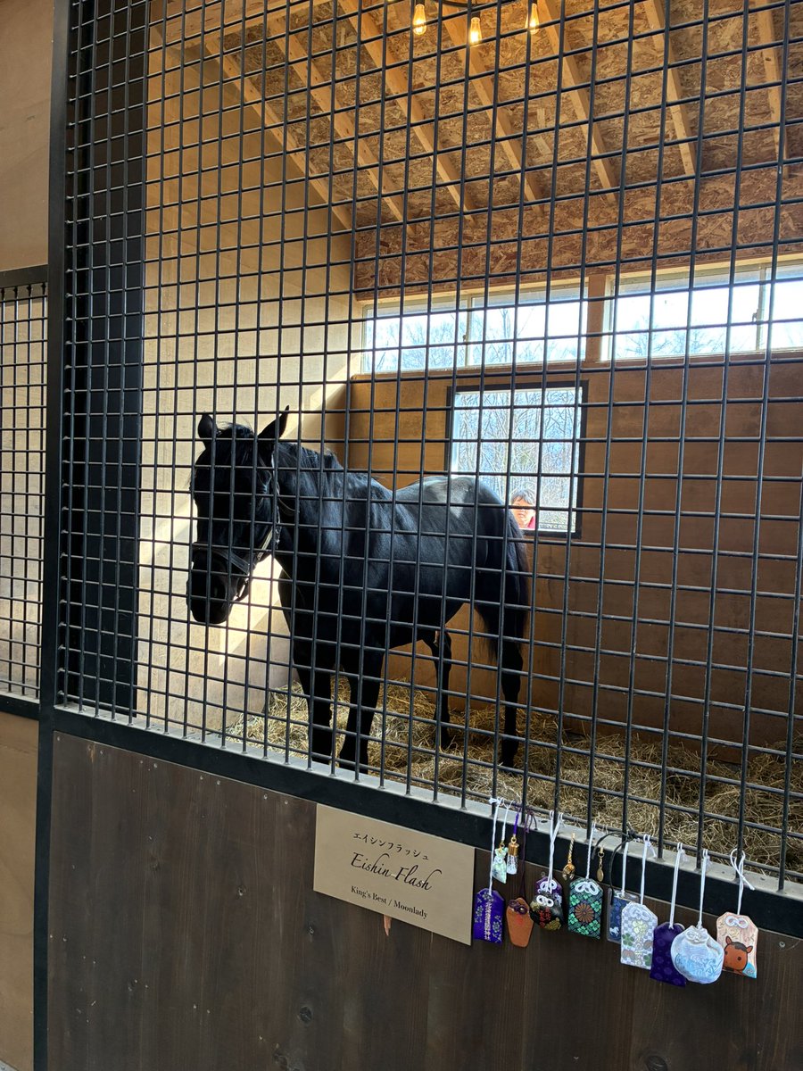 なめこ tweet media