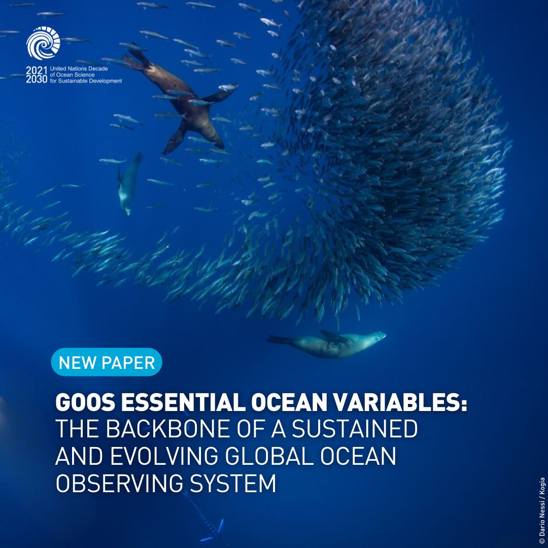 UN Ocean Decade tweet media