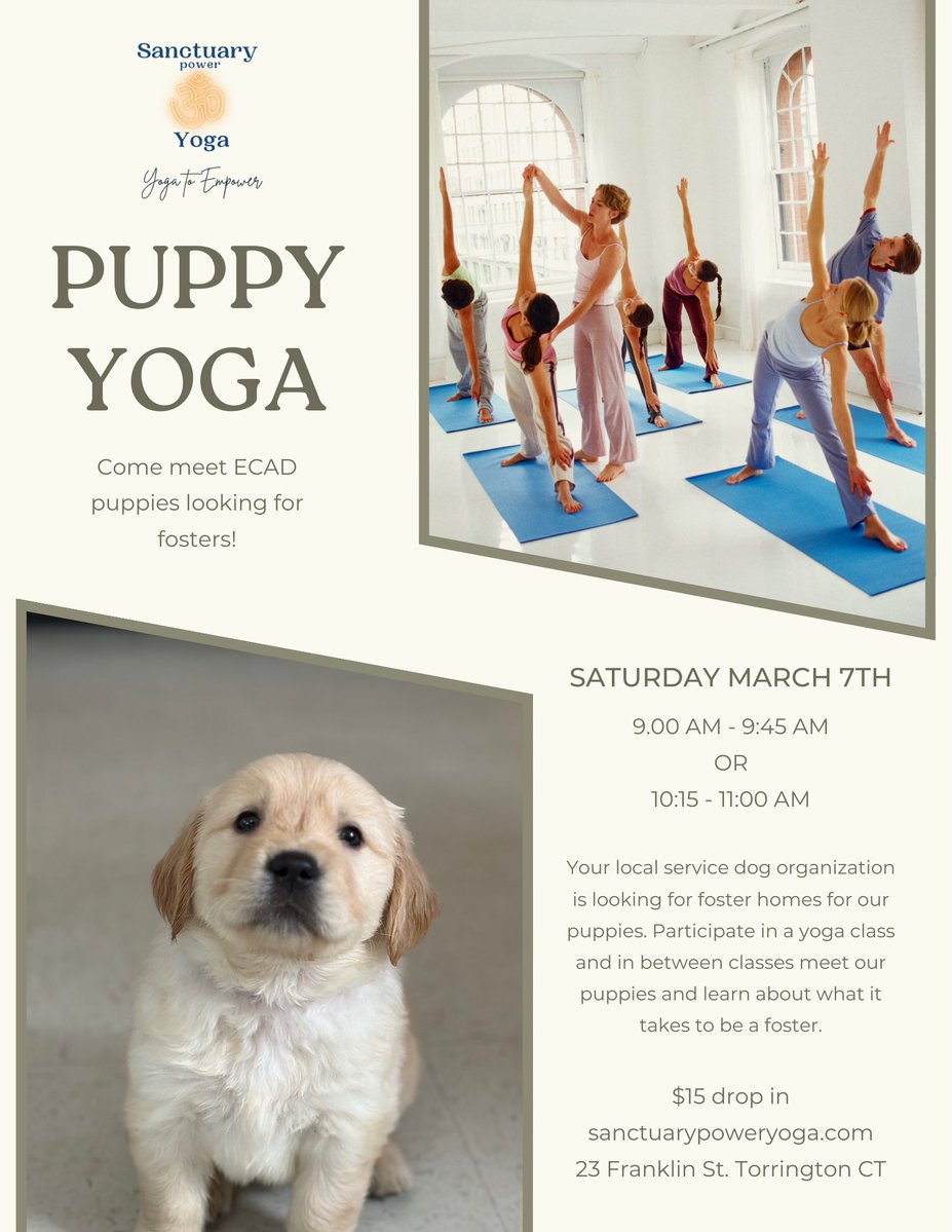 ECAD Service Dogs tweet media