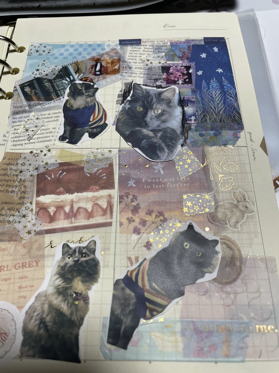 百｜南蛮×戦国漫画 tweet media